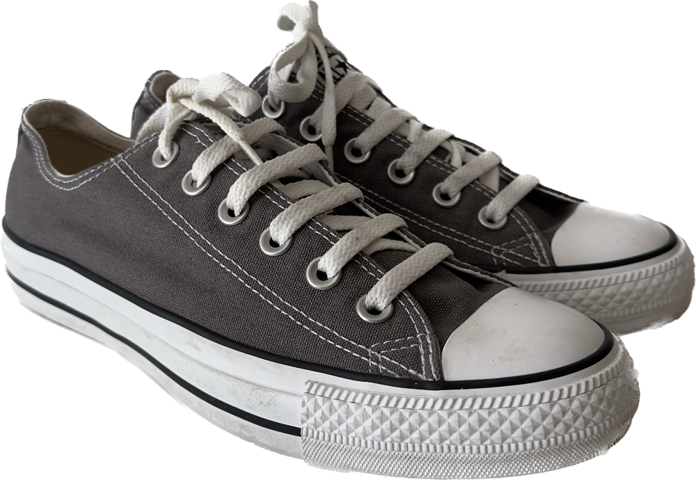 Converse All Stars Chuck Taylor Low Top Canvas Sneaker