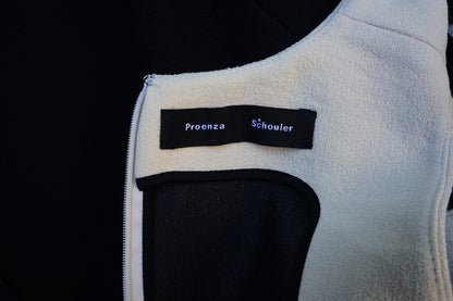 Proenza Schouler Colour Block Dress