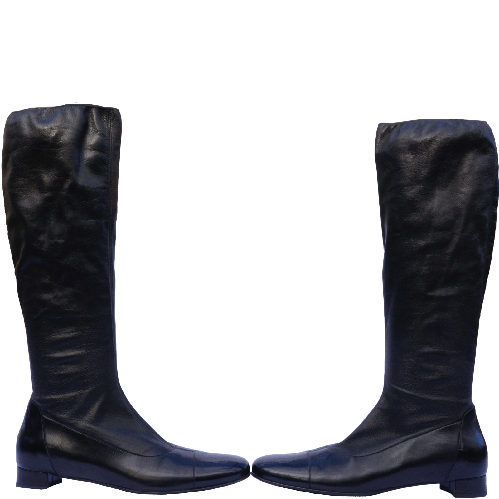Camellia 2025 tall boot